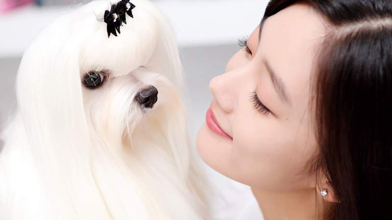 京東如(rú)何與供應商建立合作(zuò)關系?|APP開(kāi)發|小程序開(kāi)發|軟著申請(qǐng)