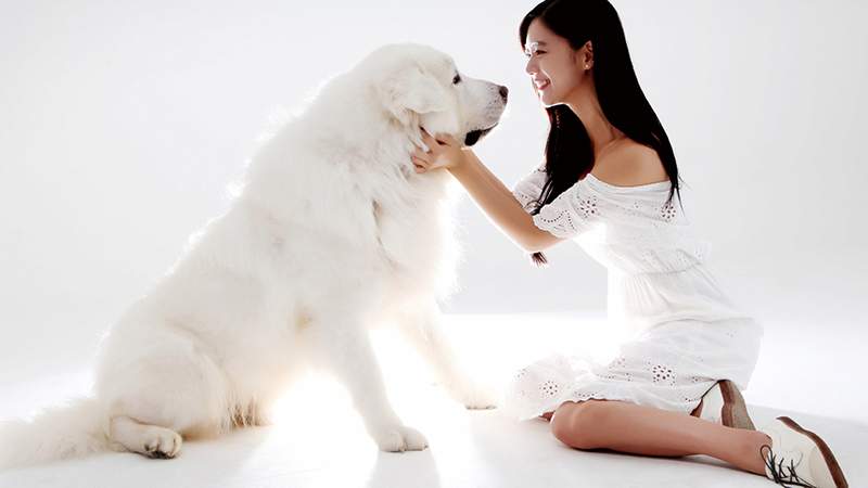 京東在未來的發展規劃中,是否考慮到社會責任和(hé)可(kě)持續發展?|APP開(kāi)發|小程序開(kāi)發|軟著申請(qǐng)